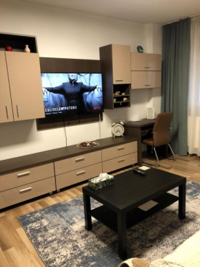 Adrian Home Mega